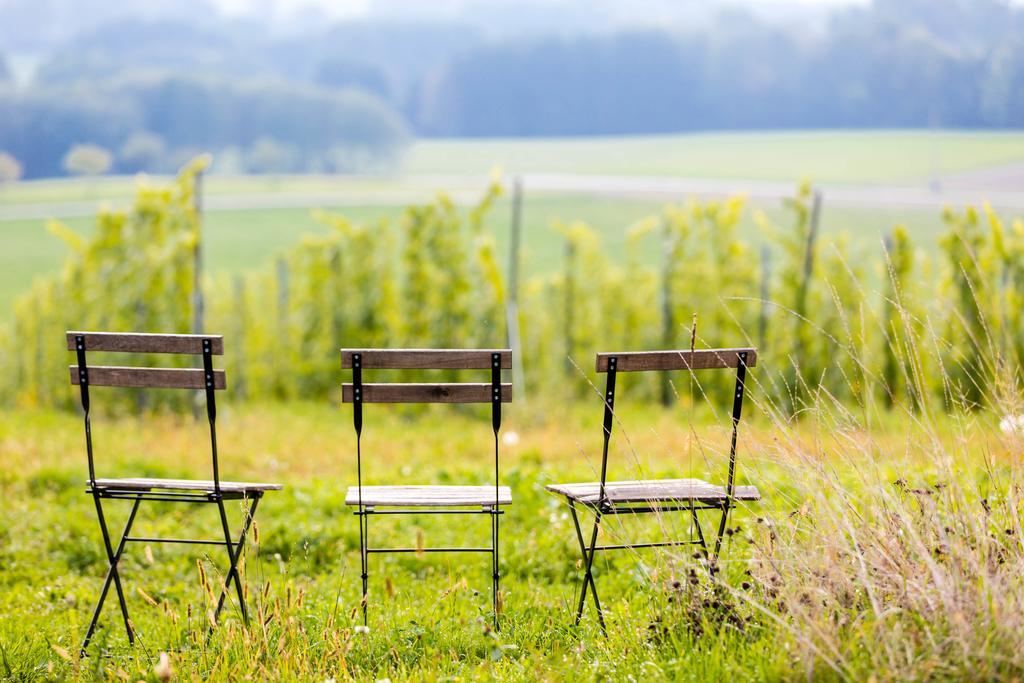 Готель Trippelgut - Schlafgut Фельдкірхен-ін-Кернтен Номер фото