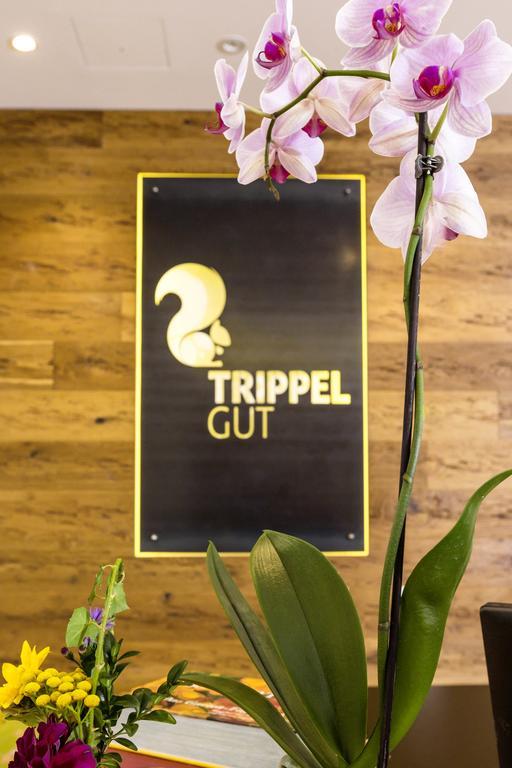 Готель Trippelgut - Schlafgut Фельдкірхен-ін-Кернтен Екстер'єр фото